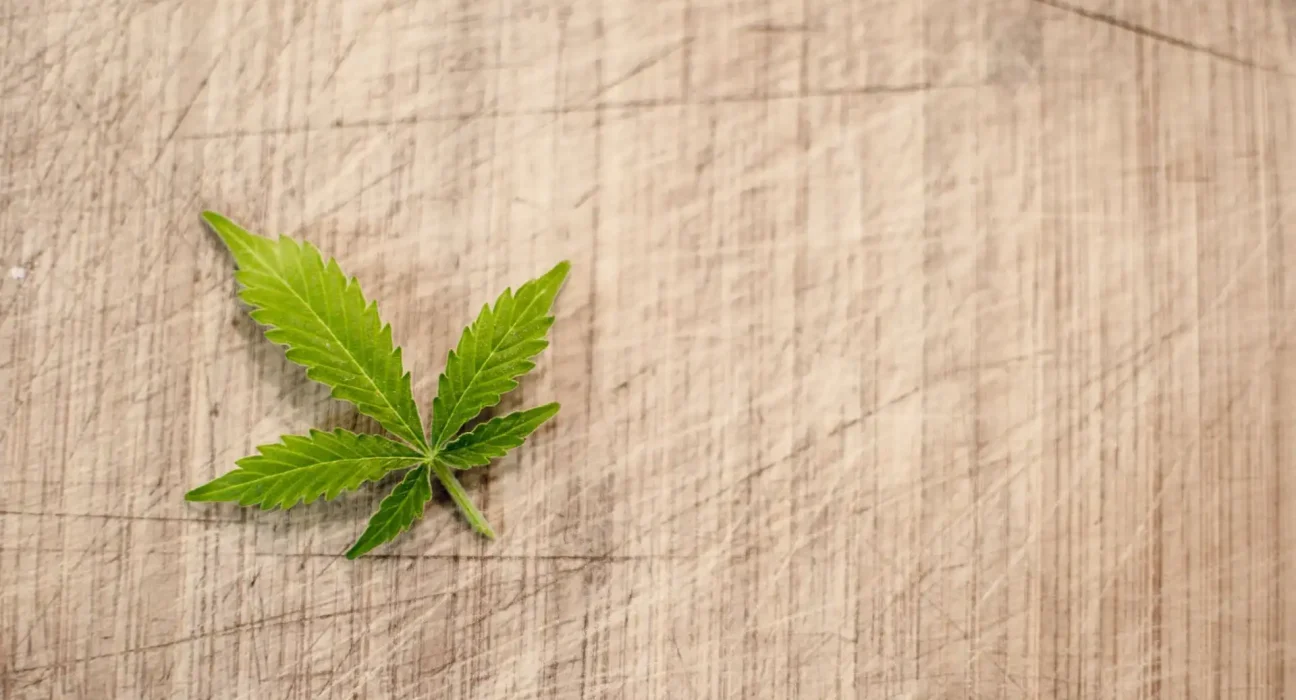 Kansas Democratic Candidates For Governor Campaign On Marijuana Legalization Support