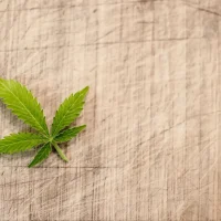 Kansas Democratic Candidates For Governor Campaign On Marijuana Legalization Support