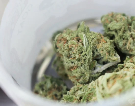Legalizing Marijuana Reduces Personal Bankruptcy Rates As Arrests Decline, Study Shows