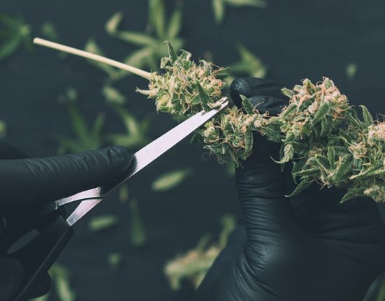 Missouri Cannabis Workers Win Union Contract to Secure Higher Pay and Paid Vacation