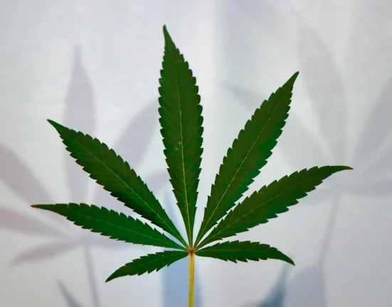 Most Marijuana Consumers Don't Believe Trump Administration Will Complete Rescheduling This Year, Poll Shows