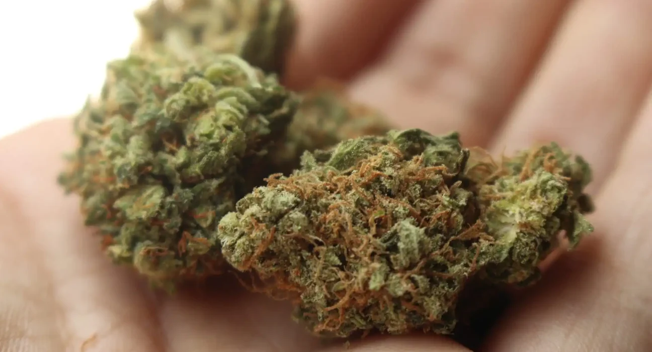 New Virginia Law Forces Medical Cannabis Patients To Choose Between Their Medicine And Their Housing (Op-Ed)