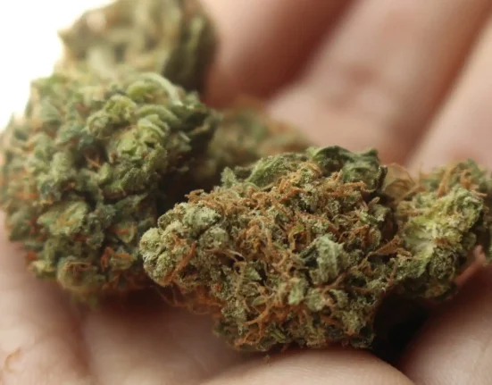 New Virginia Law Forces Medical Cannabis Patients To Choose Between Their Medicine And Their Housing (Op-Ed)