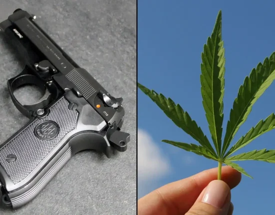 Pennsylvania's Ban On Gun Licenses Over Marijuana Convictions Is Being Challenged In A New Federal Lawsuit