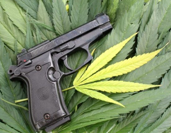 gun control cannabis