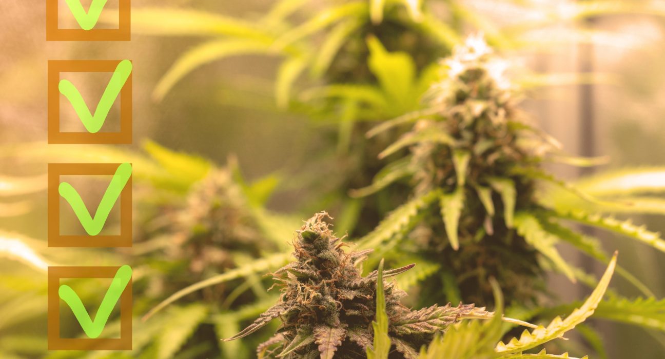 california medical marijuana rescheduling
