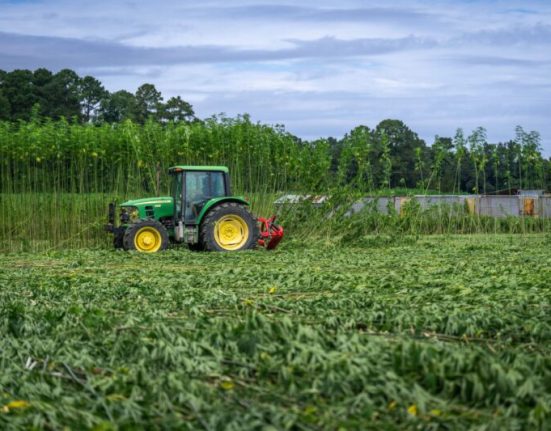 When Farms Become Factories - Cannabis & Tech Today