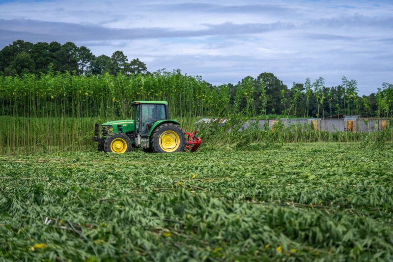 When Farms Become Factories - Cannabis & Tech Today