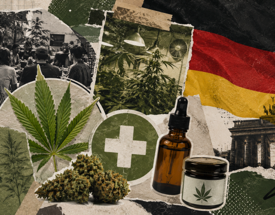 cannabis germany