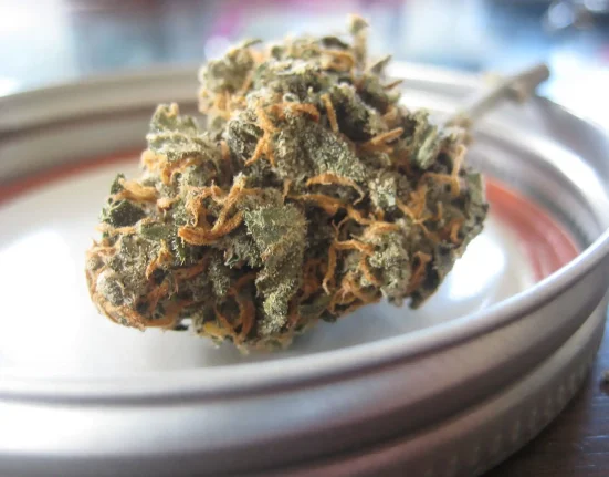 Kentucky's Medical Marijuana Program Is 'Halfway' To Becoming 'Fully Operational,' Governor Says