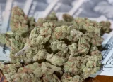 Marijuana Could Generate $111 Billion In Tax Revenue Over A Decade If Legalized Federally And In All 50 States, Yale Report Shows