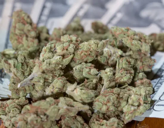 Marijuana Could Generate $111 Billion In Tax Revenue Over A Decade If Legalized Federally And In All 50 States, Yale Report Shows