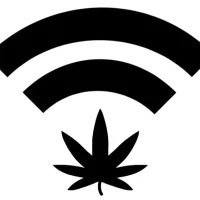 Missouri Officials Got Almost 900 Applications For Final Marijuana Microbusiness Licensing Round