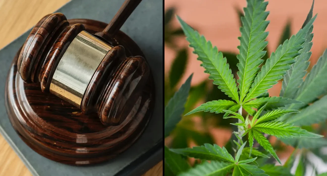 North Carolina Police Can Search Based On Smell Of Cannabis, Supreme Court Rules