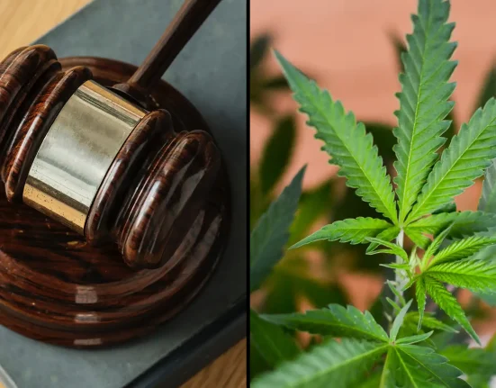 North Carolina Police Can Search Based On Smell Of Cannabis, Supreme Court Rules
