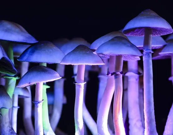 Puerto Rico Governor Signs Psychedelics Executive Order
