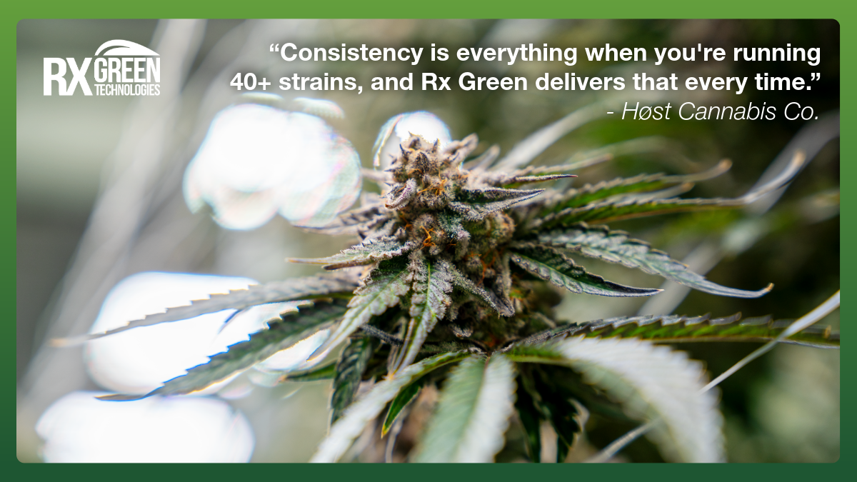 Rx Green Technologies Doubles Down on Domestic Coco Production Amid Supply Chain Shifts