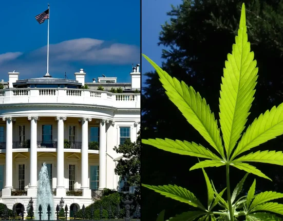 Trump Releases More Federal Marijuana Prisoners As DEA Considers Rescheduling Cannabis