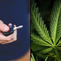 Massachusetts Anti-Marijuana Ballot Campaign Launches New Ads Focused On Impaired Driving
