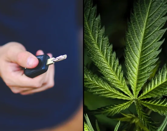 Massachusetts Anti-Marijuana Ballot Campaign Launches New Ads Focused On Impaired Driving