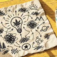 Why Weed Makes Ideas Feel Brilliant, and Why They Rarely Survive Sobriety